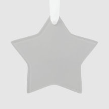 Acrylaat Ster Ornament | Mat Minimalistische Decor