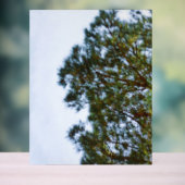 Acrylbord acryl bord (Neutraal)