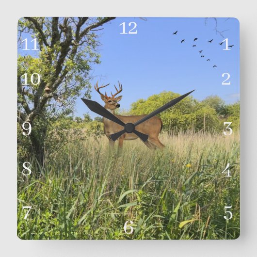 Acrylen Wandklok (Voorkant)