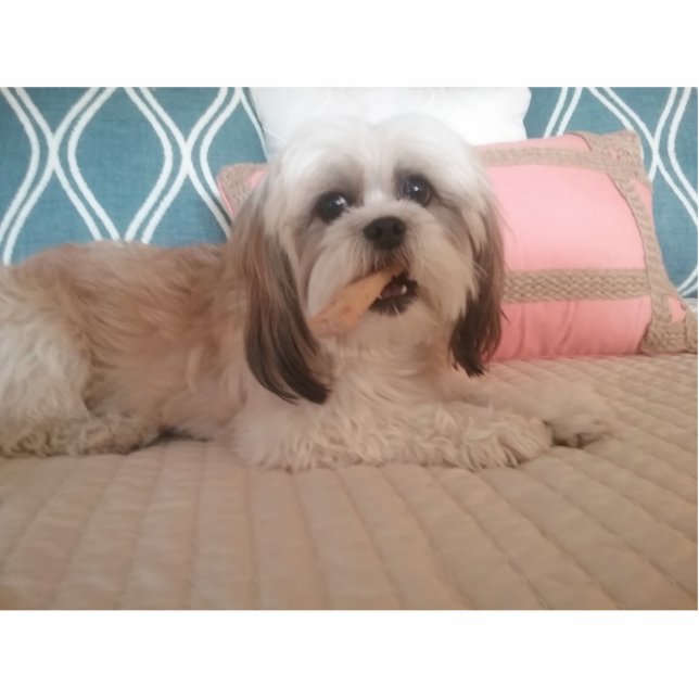 Acrylfoto-beeldbeeldbeeldhouwerij Staand Fotobeeldje (Voorkant)