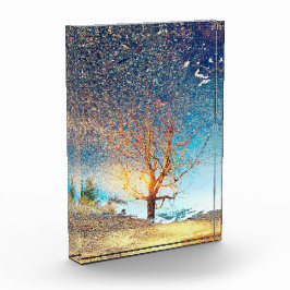 Acrylfotoblok van 5 x 7 inch | | Cherry Tree Puddl Fotoblokken