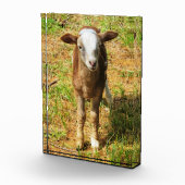 Acrylfotoblok van 5 x 7 inch | | Scout Lambie Fotoblokken (Rechts)