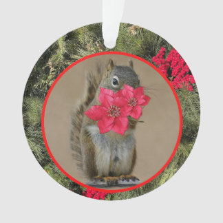 Acrylhoudend Ornament, Acrylcirkelvormig Ornament