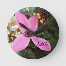 Acrylhoudende  (middelgroot)