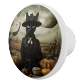 Acrylic Keychain Keramische Knop (Rechts)