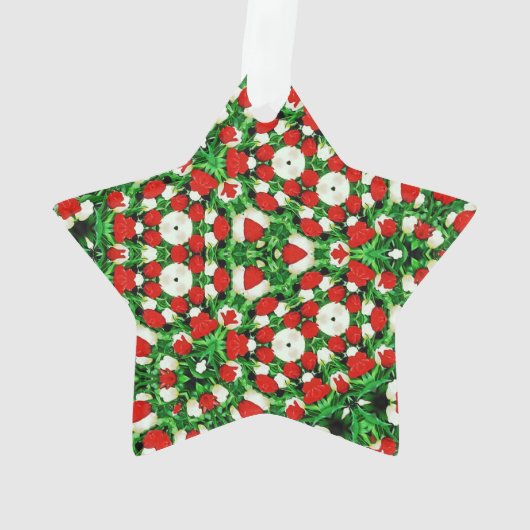 Acrylic Ornament (achterkant)