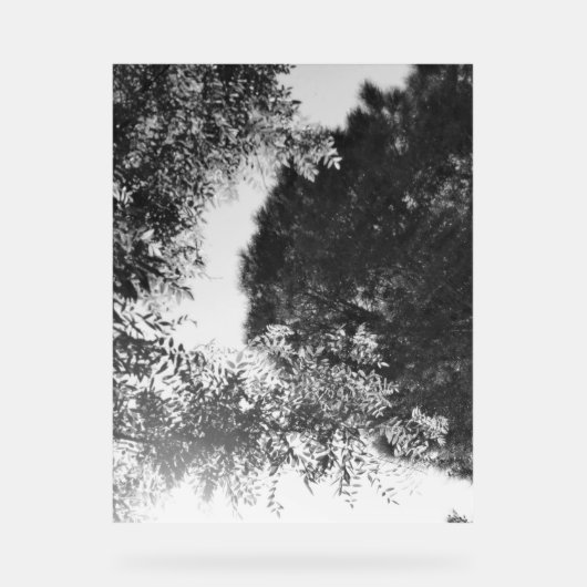 Acrylic Sign  Acryl Bord (Voorkant)