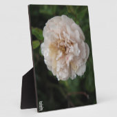 Acrylic Wall Art Fotoplaat (Zijkant)