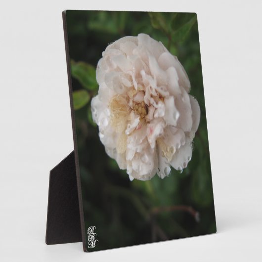 Acrylic Wall Art Fotoplaat (Zijkant)