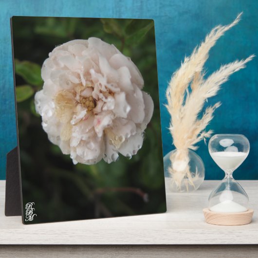 Acrylic Wall Art Fotoplaat (Zijkant)