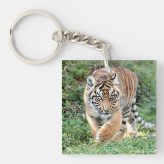 Acrylische Sleutelhanger fototijgerkat.