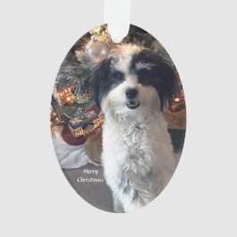 Acrylkerst-kerstversiering, Cute Dog Ornament