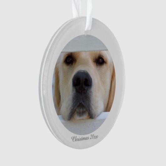 Acrylkerstfotoversiering Ornament (voorkant)