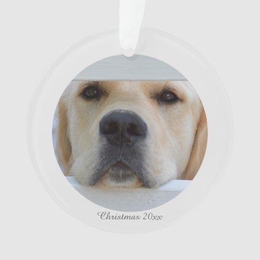 Acrylkerstfotoversiering Ornament (voorkant)