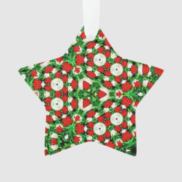 Acrylnormaalornament Ornament