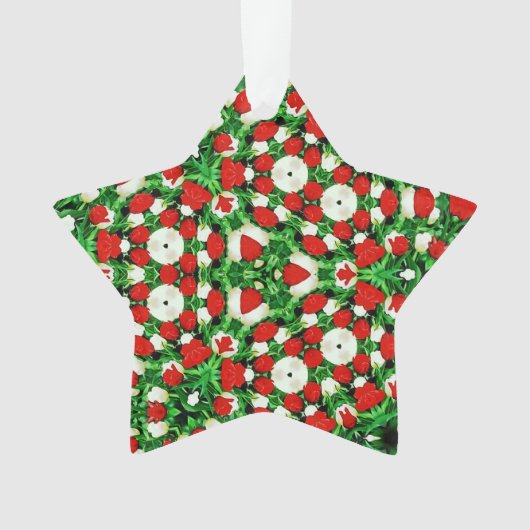 Acrylnormaalornament Ornament (voorkant)