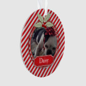 Acrylsierrietstreep Holly voor gezelschapsdieren Ornament (voorkant)