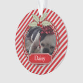 Acrylsierrietstreep Holly voor gezelschapsdieren Ornament (voorkant)