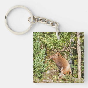 AcrylSleutelhanger Sleutelhanger