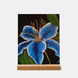 Acrylteken Acryl Bord