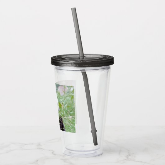 acryltumbler reus panda. acryltumbler acryl drinkbeker (Links)