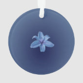 Acrylversiering Ornament (achterkant)