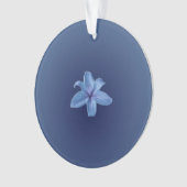 Acrylversiering Ornament (voorkant)