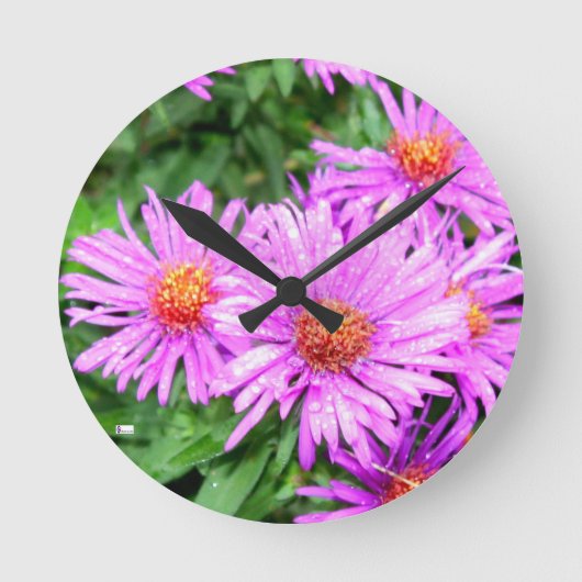 Acrylwandklok rond (medium) 2 ronde klok (Voorkant)