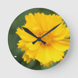 Acrylwandklok rond (medium)3 ronde klok