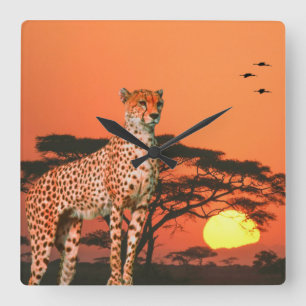 acrylwandklok vierkante klok