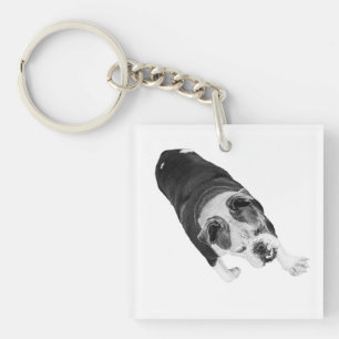 Actie Wandel Hond Moedigt Elke Vakantiependel Aan Sleutelhanger