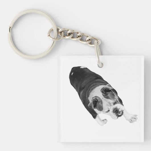 Actie Wandel Hond Moedigt Elke Vakantiependel Aan Sleutelhanger (voorkant)