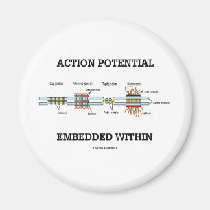 Actiemogelijkheden ingebed in (celpartities) magneet
