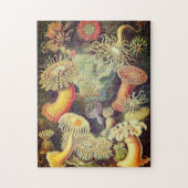  Actiniae Puzzle door Ernst Haeckel Legpuzzel (Verticaal)