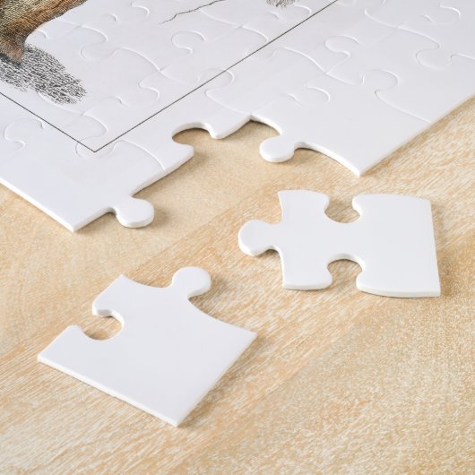 Actiniae , science, ernst haeckel, biologie legpuzzel (Zijkant)