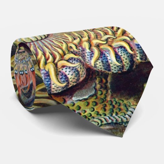 Actiniae Stropdas van Ernst Haeckel (Opgerold)