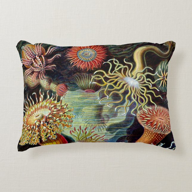 Actiniae van Ernst Haeckel Accent Pillow Accent Kussen (Voorkant)