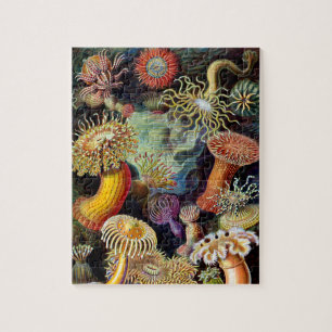 Actiniae van Ernst Haeckel Jigzaag Puzzle Legpuzzel