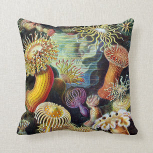 Actiniae van Ernst Haeckel Kussen