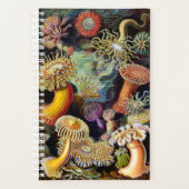 Actiniae van Ernst Haeckel Planner (Voorkant)