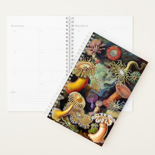 Actiniae van Ernst Haeckel Planner (Display)