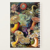 Actiniae van Ernst Haeckel Planner (Achterkant)