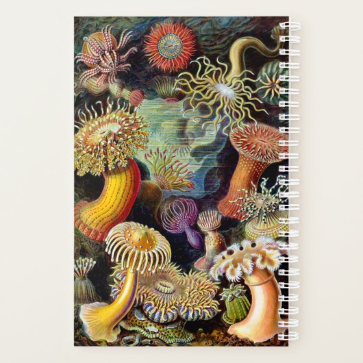 Actiniae van Ernst Haeckel Planner (Achterkant)