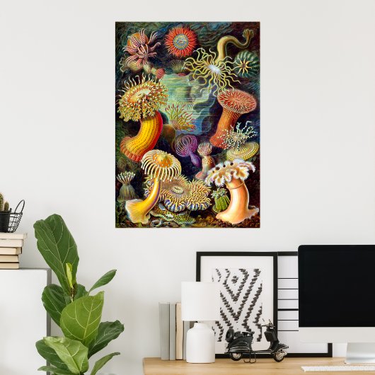 Actiniae van Ernst Haeckel Poster (Thuiskantoor)