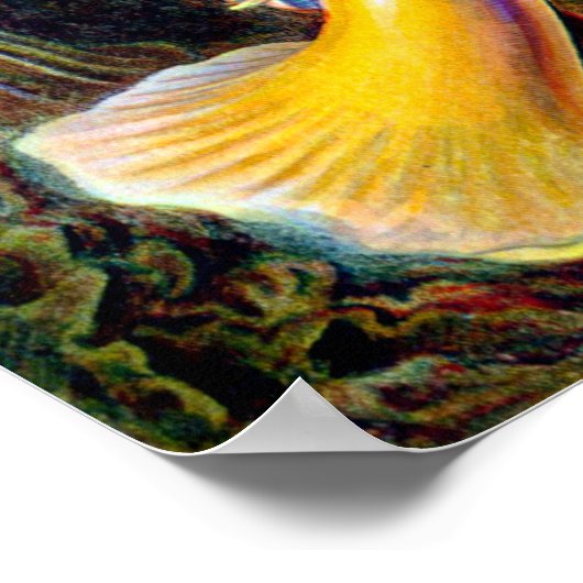 Actiniae van Ernst Haeckel Poster (Hoek)