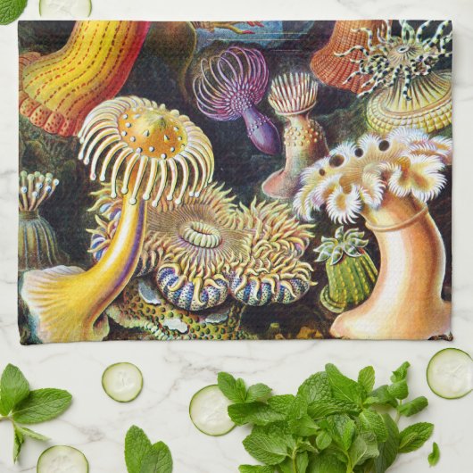 Actiniae van Ernst Haeckel Theedoek (Gevouwen)