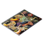 Actiniae van het Notitieboek Ernst Haeckel (Linkerzijde)