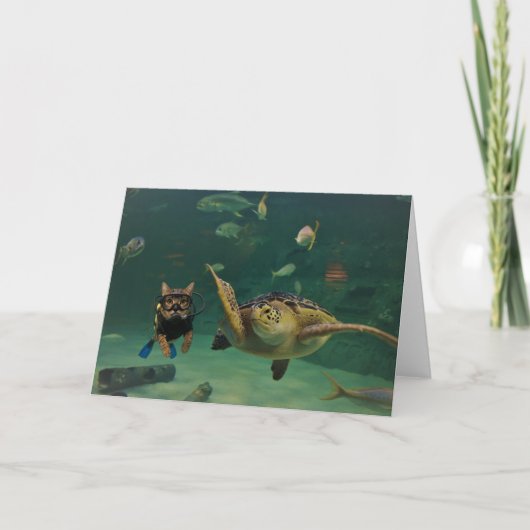 Action Cats! Card Kaart (Voorkant)