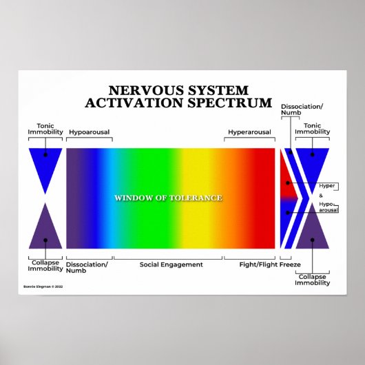 Activeringsspectrum van het zenuwstelsel poster (Voorkant)