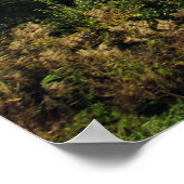 Activiteiten in de omgeving van Addison Pinnacle F Poster (Hoek)